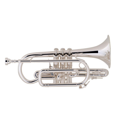 Trombone Tenor BACH 42B