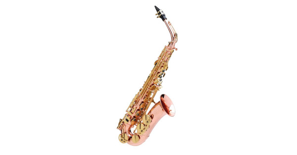 B Blesiya Beginner C Key Saxophone Mini Sax with Mouthpiece Ligature & Cap Musical Gift 