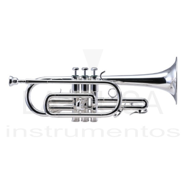 Schilke cornet shop