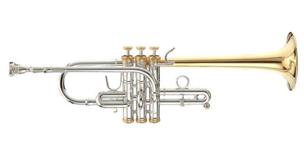 Las mejores trompetas para principiantes – t.blog